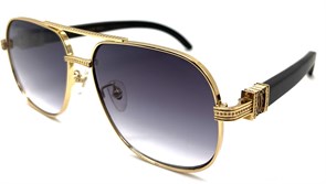 {{productViewItem.photos[photoViewList.activeNavIndex].Alt || productViewItem.photos[photoViewList.activeNavIndex].Description || 'CARTIER CT0428S 005YD'}}