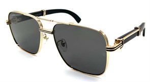 {{productViewItem.photos[photoViewList.activeNavIndex].Alt || productViewItem.photos[photoViewList.activeNavIndex].Description || 'CARTIER CT0426S 001W'}}