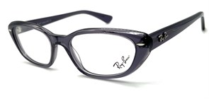 {{productViewItem.photos[photoViewList.activeNavIndex].Alt || productViewItem.photos[photoViewList.activeNavIndex].Description || 'RAYBAN RB5242 2004 5318140'}}