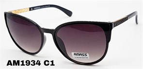 AM1934 C1 1027776404